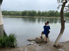 -永定河休闲森林公园