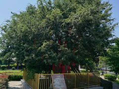 -西安汉城湖景区