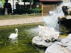 -北京市海淀外国语实验学校