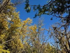 -阳台山自然风景区