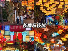 -长鹿旅游休博园