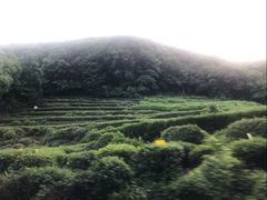 -法云安缦酒店