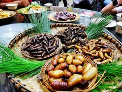 -昆虫窝子·特色云南菜(拓东路总店)