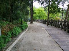 -广州市流溪河国家森林公园