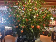 -八府香鸭·啫啫煲(华山路店)