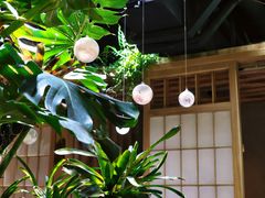 -森味薪火烧•烧鸟居酒屋•日本料理(望京店)