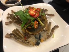 -草鱼先生潮州鱼生·虾生(新厦花园店)