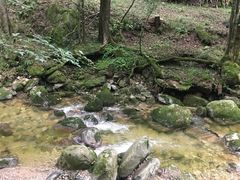 -牛背梁国家森林公园