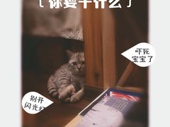隅Cafe-隅cafe(傅厚岗店)