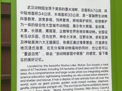 -武汉动物园