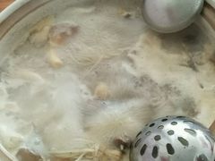 -16年老字号鑫鑫猪肚鸡·椰子鸡海南火锅(兴隆华侨农场店)