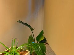 -泰合玺·精油疗愈 SPA(南京河西万达店)