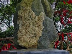 -广州市帽峰山景区