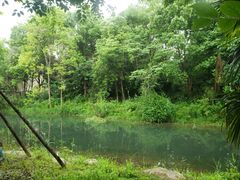 -洋湖国家湿地公园