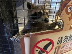 -酷嗒动物文化乐园(cutezoo西溪乐天城店)