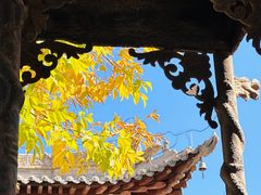 -张掖大佛寺景区