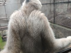 -昆明动物园