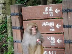 -黔灵山公园