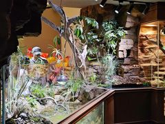 -帕帕拉兹宠物(亚洲旗舰店)