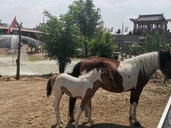 -包头古城文化旅游区