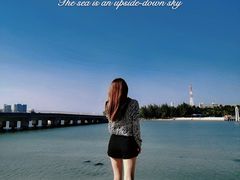 -东郊椰林
