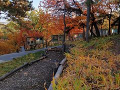 -长辛店二七公园