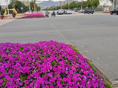 -东莞银行篮球中心