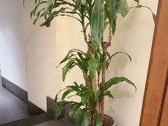 -口味堂(惠济路店)