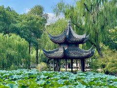 -墅园