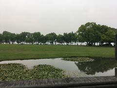 -闻莺馆(柳浪闻莺店)