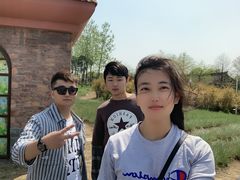 -杭州湾海上花田景区