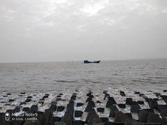 -碧海金沙