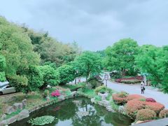 -旺山·浪头人家