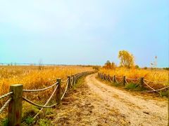 -野鸭湖国家湿地公园