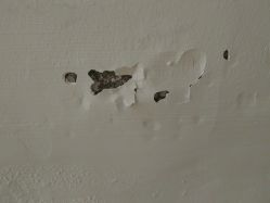 -厦门市儿童医院