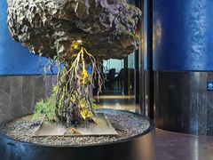 -1718海鲜姿造(苏宁宴请臻选店)