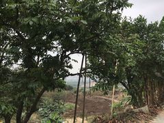 -天强农家菜馆