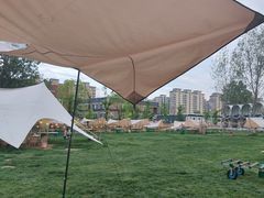 -上海山野camping·户外天幕烧烤·团建拓展营地