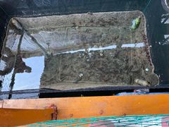 -蓝湾碧波·老字号·疍家非遗海上餐厅