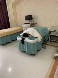 -玛丽亚妇产医院产后修复·医美产康中心