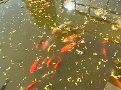 -天目湖涵田半山温泉水乐园