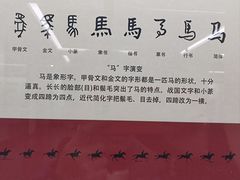 -安阳博物馆