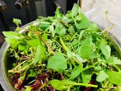 野菜-黔府豆米火锅野菜馆(南马店)