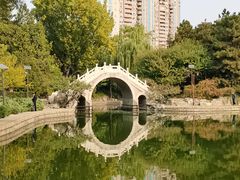 -团结湖公园