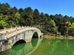 -铁山坪森林公园