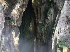 -千岛湖石林