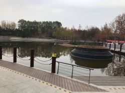 -大望京儿童游乐场