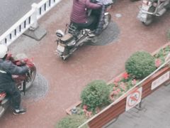-季季红火锅(动壹店)
