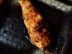 鸡肉丸子-串鑫
