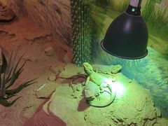 -正佳雨林生态植物园